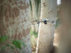 DJI Air 3S (DJI RC-N3) 