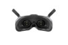 DJI Goggles 2 Motion Combo (DJI RC Motion 2) 