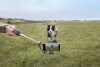 DJI Osmo Mobile 7P 